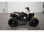 Thumbnail Photo 3 for New 2023 Can-Am Renegade 110