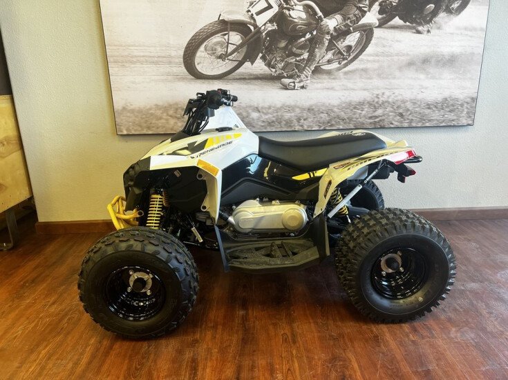 Thumbnail Photo undefined for New 2023 Can-Am Renegade 110