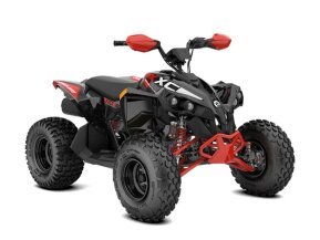 2023 Can-Am Renegade 110 for sale 201344176