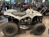 New 2023 Can-Am Renegade 650