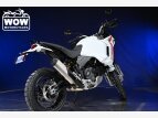 Thumbnail Photo 3 for New 2023 Ducati DesertX