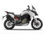 2023 Ducati Multistrada 1158 for sale 201363694