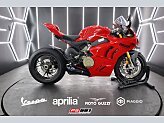2023 Ducati Panigale V4 for sale 201628445