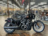 2023 Harley-Davidson Sportster Nightster Special for sale 201591639