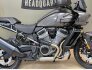 2023 Harley-Davidson Pan America Special for sale 201399996