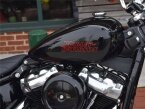 Thumbnail Photo 4 for New 2023 Harley-Davidson Softail