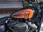 Thumbnail Photo 4 for New 2023 Harley-Davidson Softail