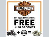 New 2023 Harley-Davidson Softail Standard