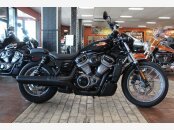 2023 Harley-Davidson Sportster Nightster Special