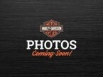 Thumbnail Photo 5 for New 2023 Harley-Davidson Touring Street Glide ST