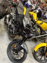 2023 Honda CB300R ABS for sale 201504042