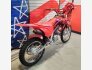 2023 Honda CRF125F Big Wheel for sale 201371617