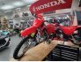 2023 Honda CRF125F for sale 201396426