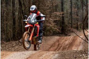 2023 Honda CRF300L Rally for sale 201628312