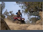 Thumbnail Photo undefined for New 2023 Honda FourTrax Recon