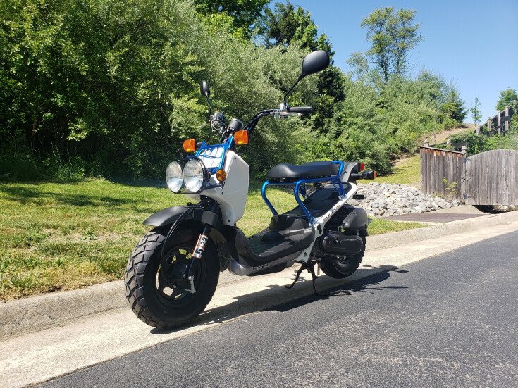 Thumbnail Photo undefined for New 2023 Honda Ruckus