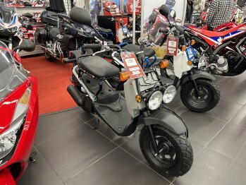 New 2023 Honda Ruckus