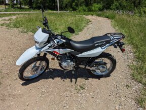 2023 Honda XR150L for sale 201586303