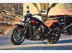 Thumbnail Photo 0 for 2023 Indian Scout ABS