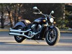 Thumbnail Photo 6 for 2023 Indian Scout ABS
