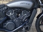 Thumbnail Photo 2 for New 2023 Indian Scout