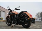 Thumbnail Photo 17 for New 2023 Indian Scout