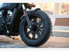 Thumbnail Photo 34 for New 2023 Indian Scout