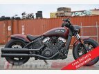 Thumbnail Photo 0 for New 2023 Indian Scout