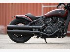 Thumbnail Photo 5 for New 2023 Indian Scout