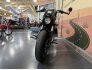 2023 Indian Scout Bobber Rogue for sale 201330370