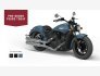 2023 Indian Scout for sale 201340494