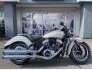 2023 Indian Scout ABS for sale 201388929