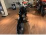2023 Indian Scout Bobber Rogue w/ ABS for sale 201389251