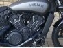 2023 Indian Scout for sale 201394170