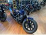 2023 Indian Scout Bobber for sale 201398768
