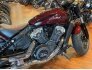 2023 Indian Scout for sale 201404466