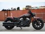 2023 Indian Scout for sale 201410329