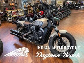 2023 Indian Scout for sale 201415658