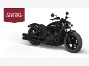 New 2023 Indian Scout