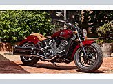 2023 Indian Scout ABS for sale 201620110