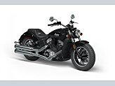 2023 Indian Scout ABS for sale 201620111