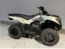 2023 Kawasaki Brute Force 300 for sale 201354007