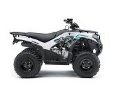 New 2023 Kawasaki Brute Force 300