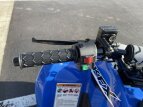 Thumbnail Photo 6 for New 2023 Kawasaki KFX50