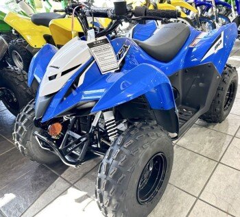 New 2023 Kawasaki KFX90