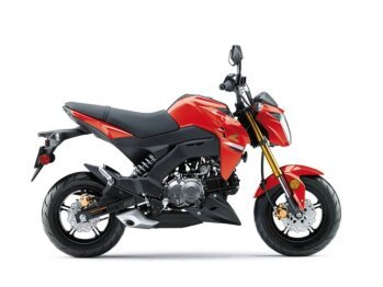 2023 Kawasaki Z125 Pro
