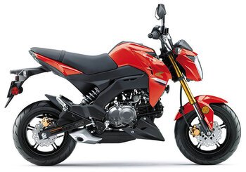 New 2023 Kawasaki Z125 Pro