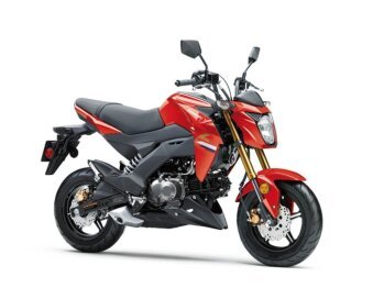 New 2023 Kawasaki Z125 Pro