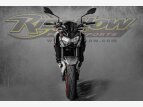 Thumbnail Photo 3 for New 2023 Kawasaki Z900 ABS