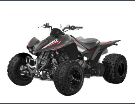 Photo 1 for New 2023 Kymco Mongoose 270